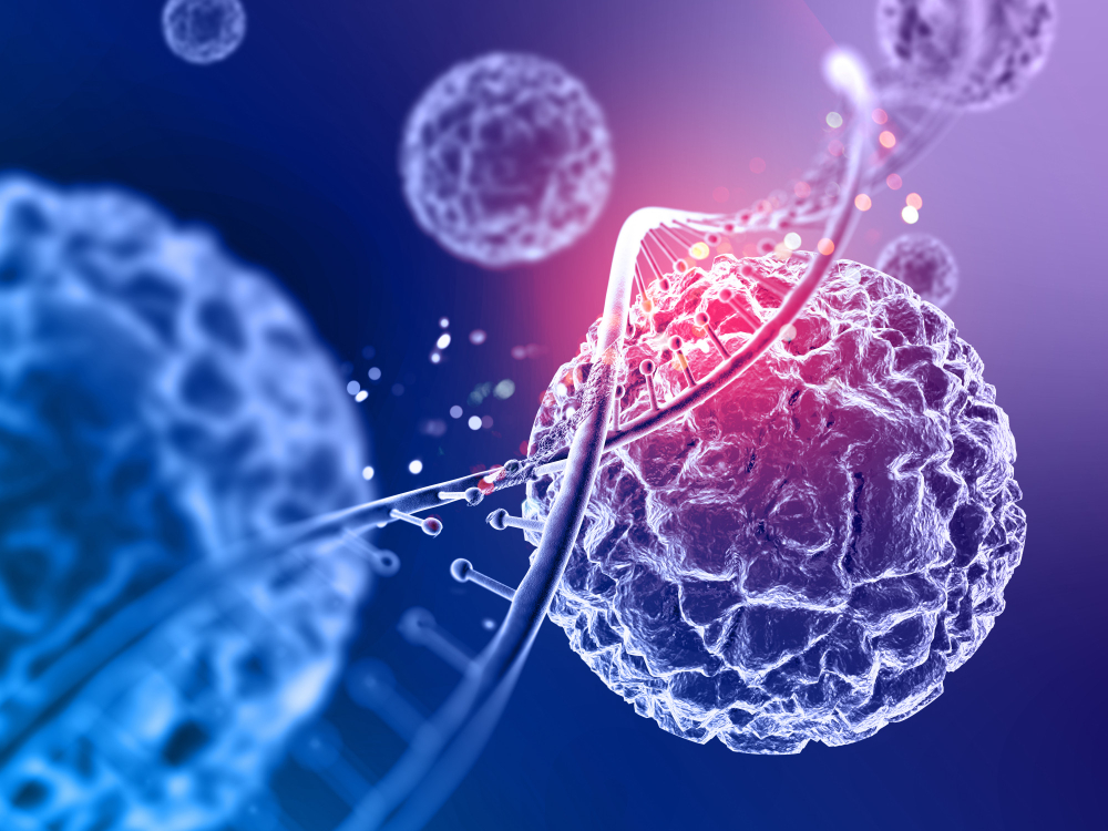 Bone marrow concentrate (BMC)